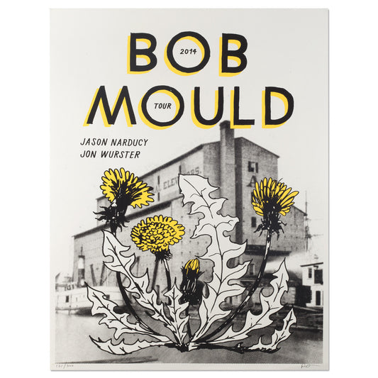 Bob Mould 2014 Tour Poster